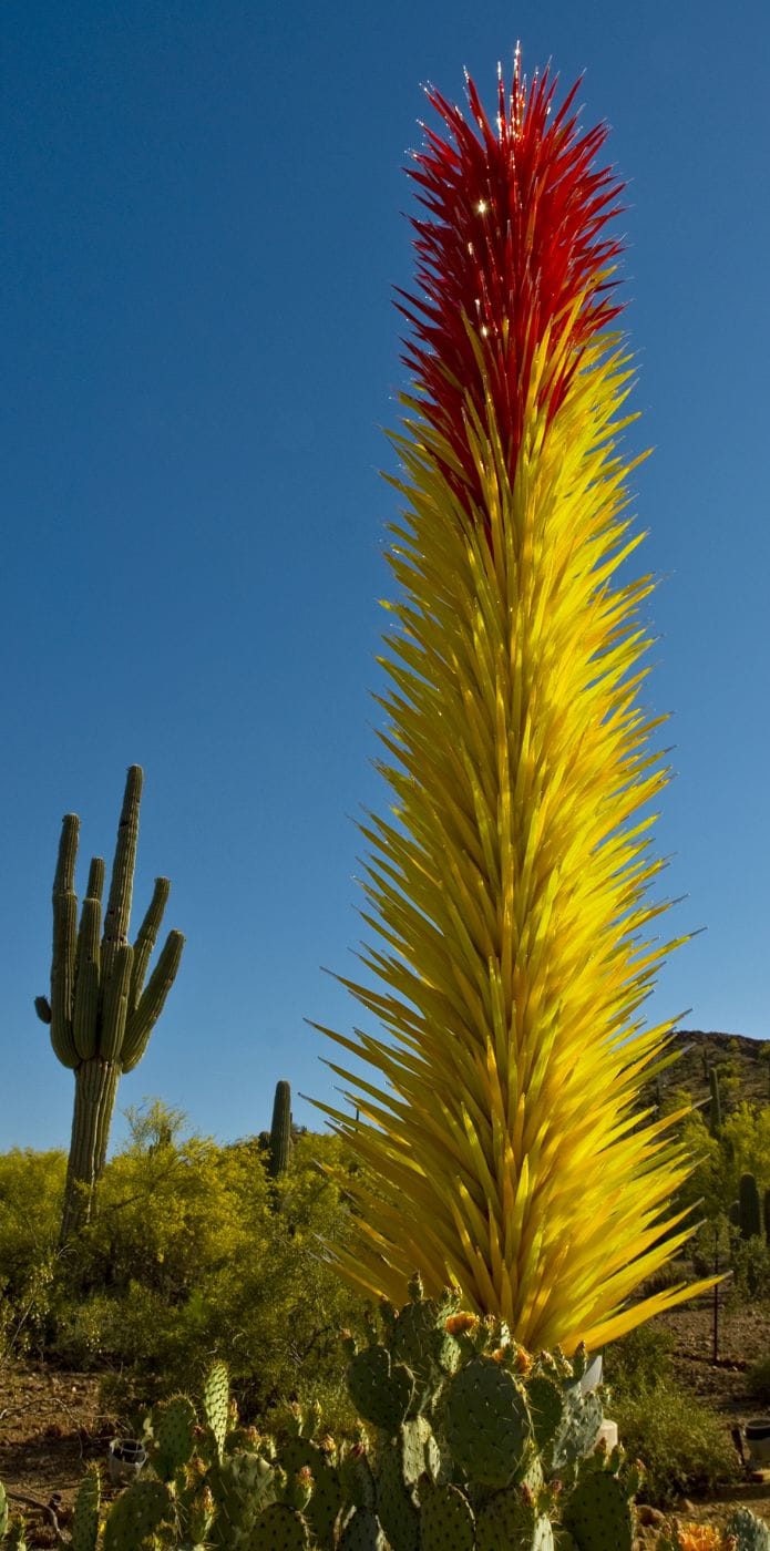 Desert  Botanical Garden - Chihuly in the Garden, USA