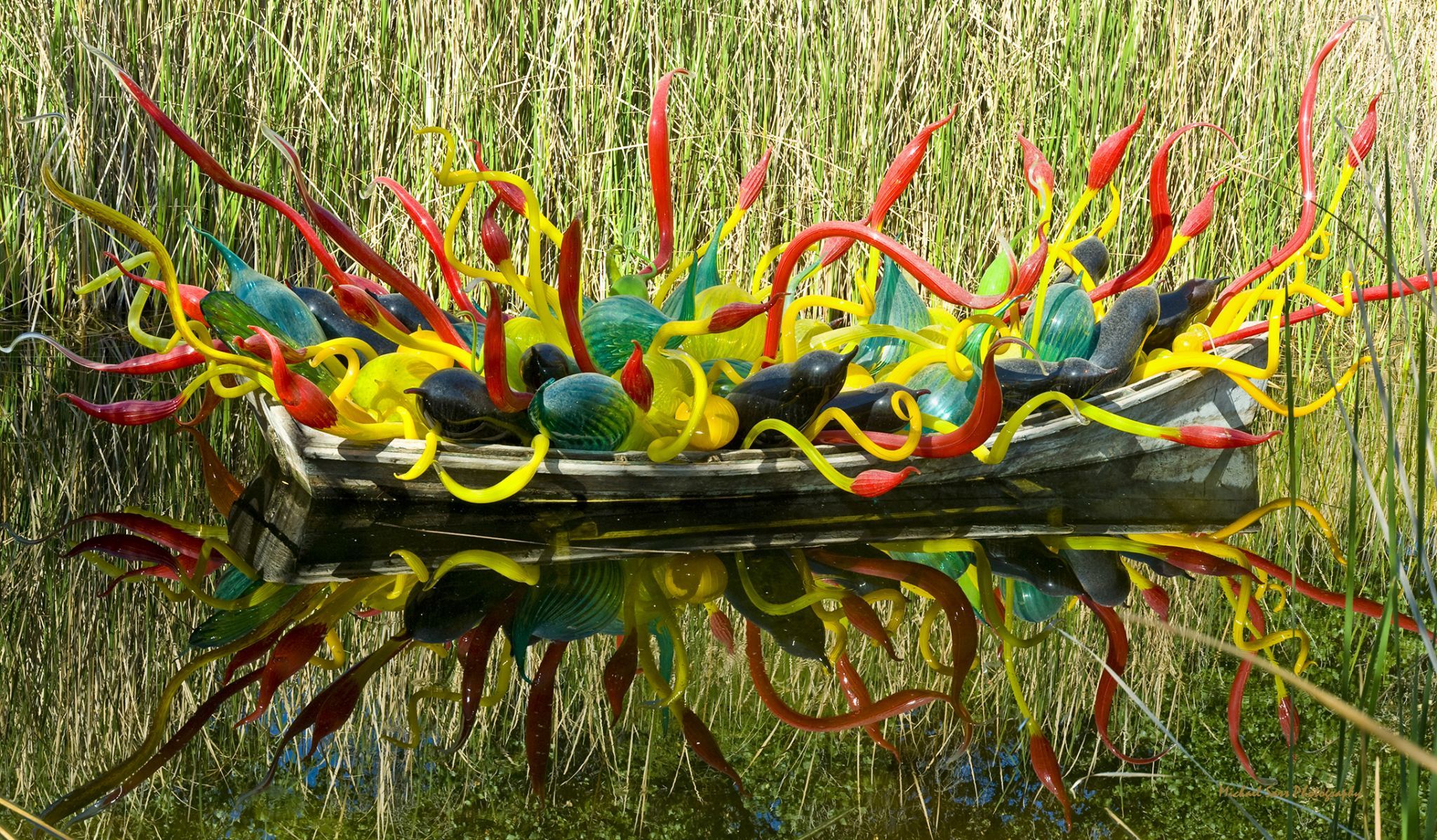 Desert  Botanical Garden - Chihuly in the Garden, USA