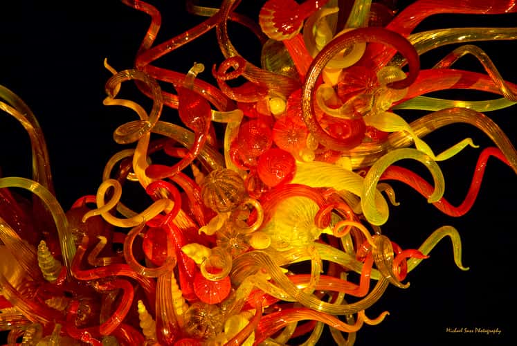 Desert  Botanical Garden - Chihuly in the Garden