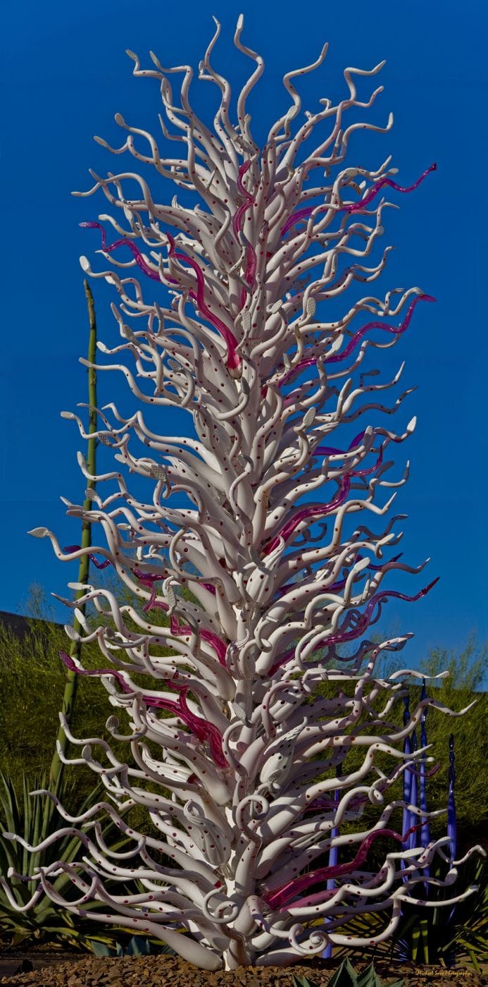 Desert  Botanical Garden - Chihuly in the Garden, USA