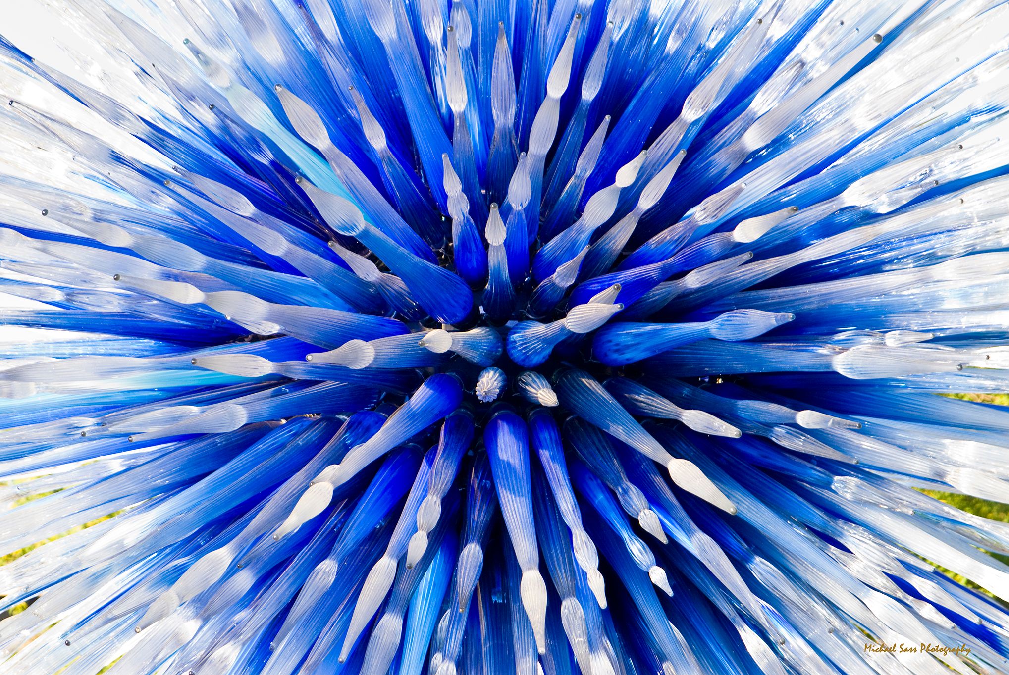 Desert  Botanical Garden - Chihuly in the Garden, USA