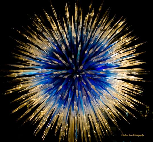 Desert  Botanical Garden - Chihuly in the Garden