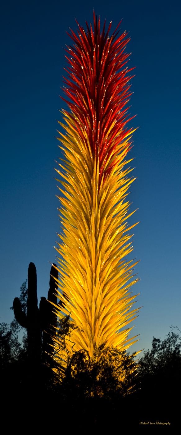 Desert  Botanical Garden - Chihuly in the Garden, USA