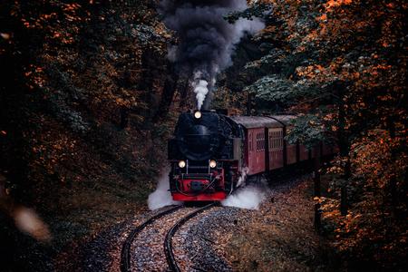 Harz narrow gauge railroad in the Thumkuhlental