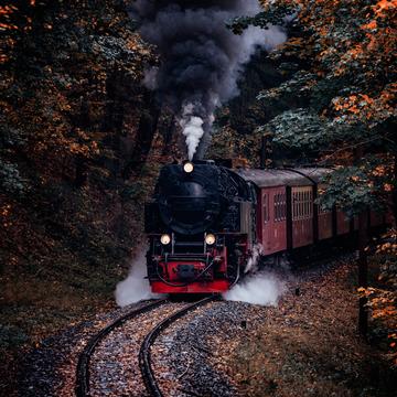 Harz narrow gauge railroad in the Thumkuhlental, Germany
