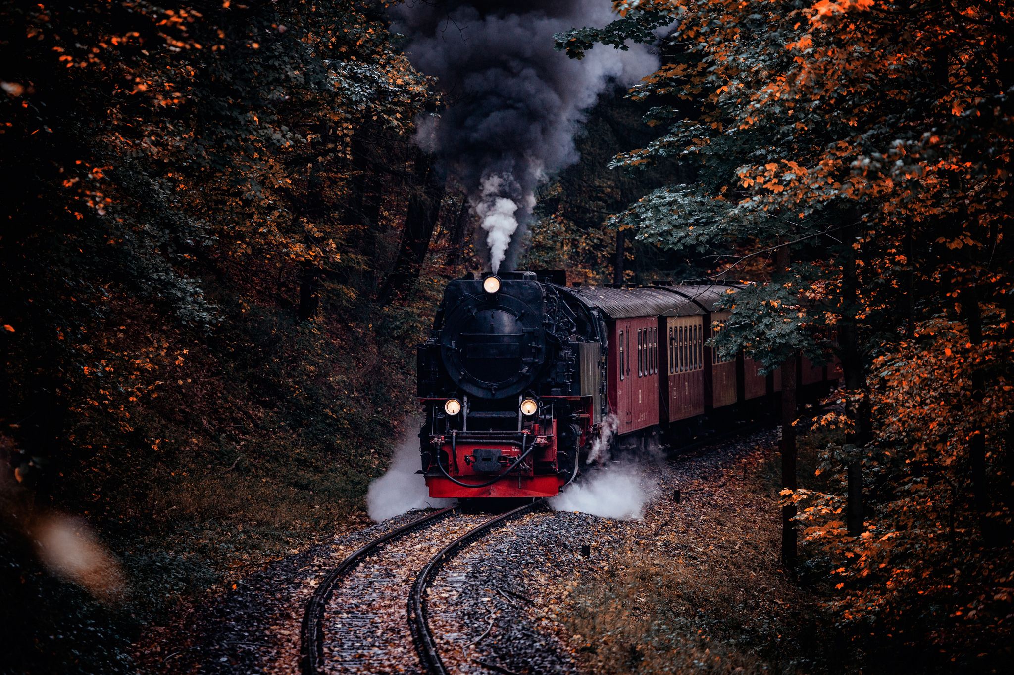 Harz narrow gauge railroad in the Thumkuhlental, Germany