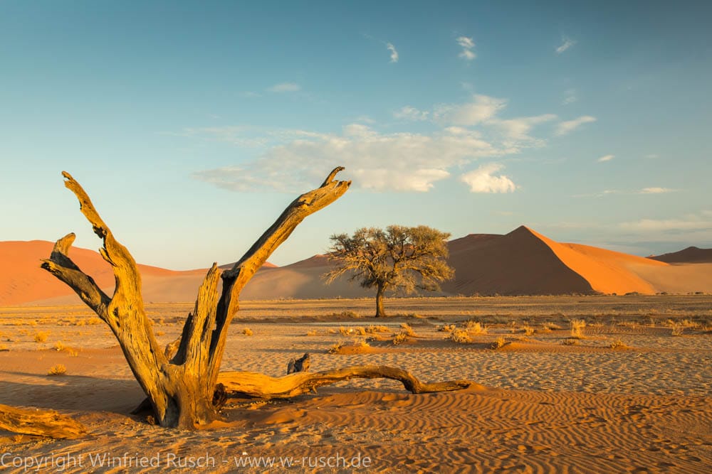 Düne 45, Namibia