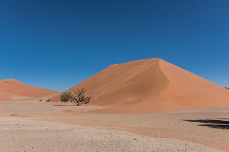 Dune 45