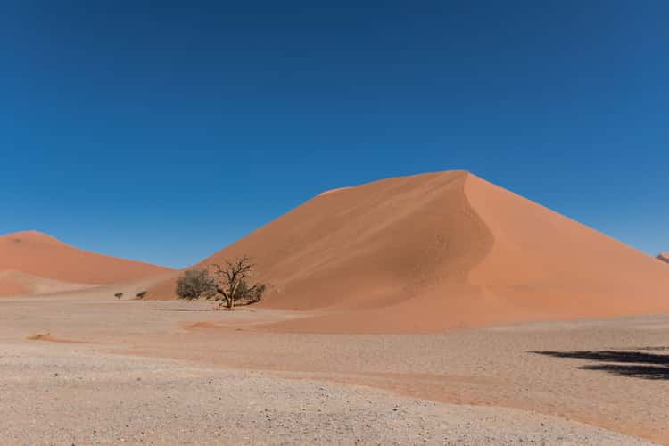 Dune 45