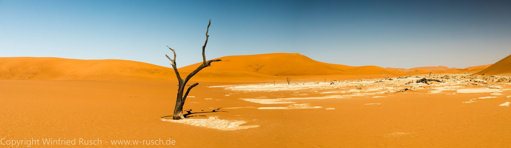 Lonely death tree, Deadvlei, Namibia
