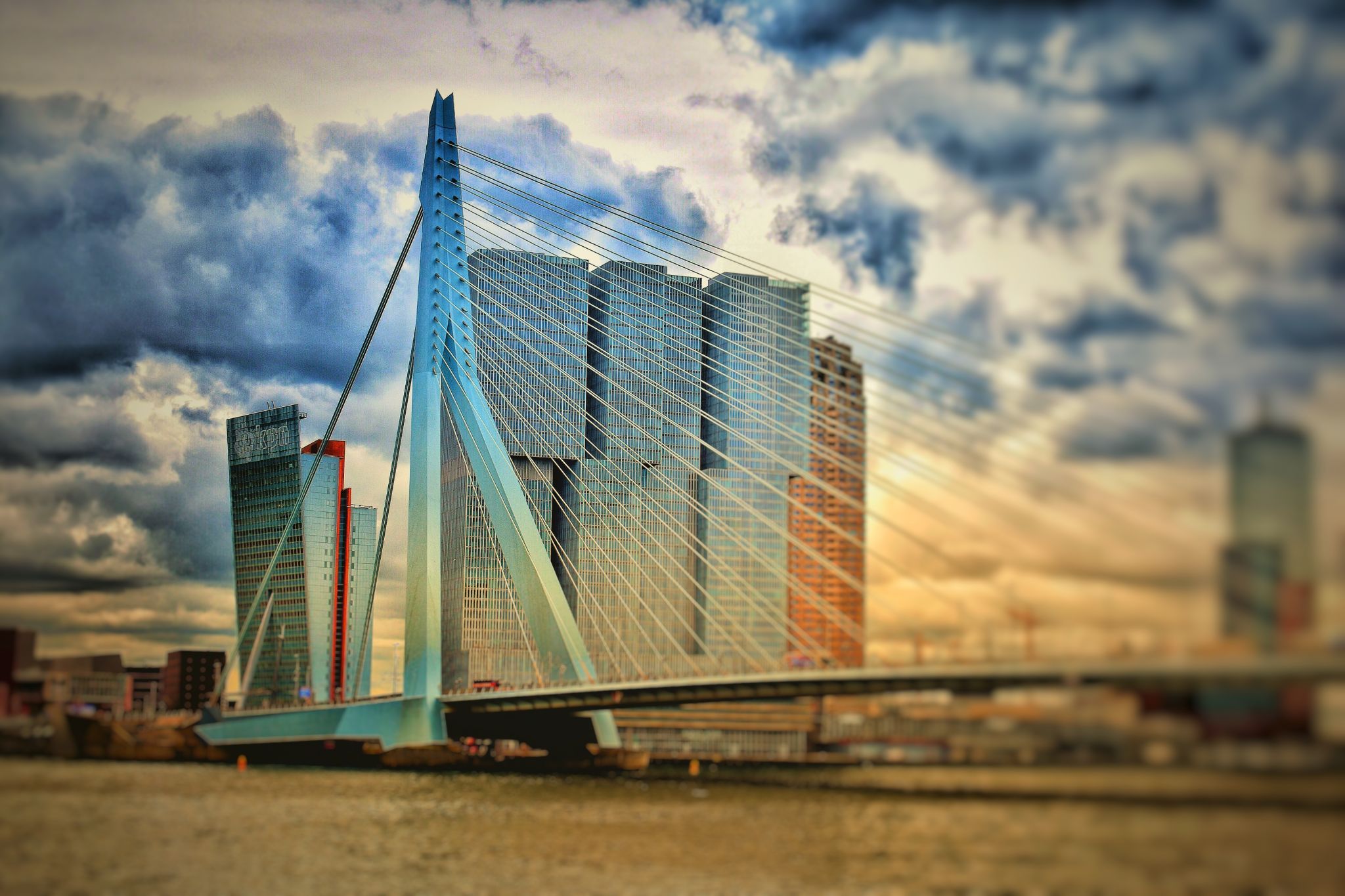 Erasmus Bridge (south view), Rotterdam, Netherlands