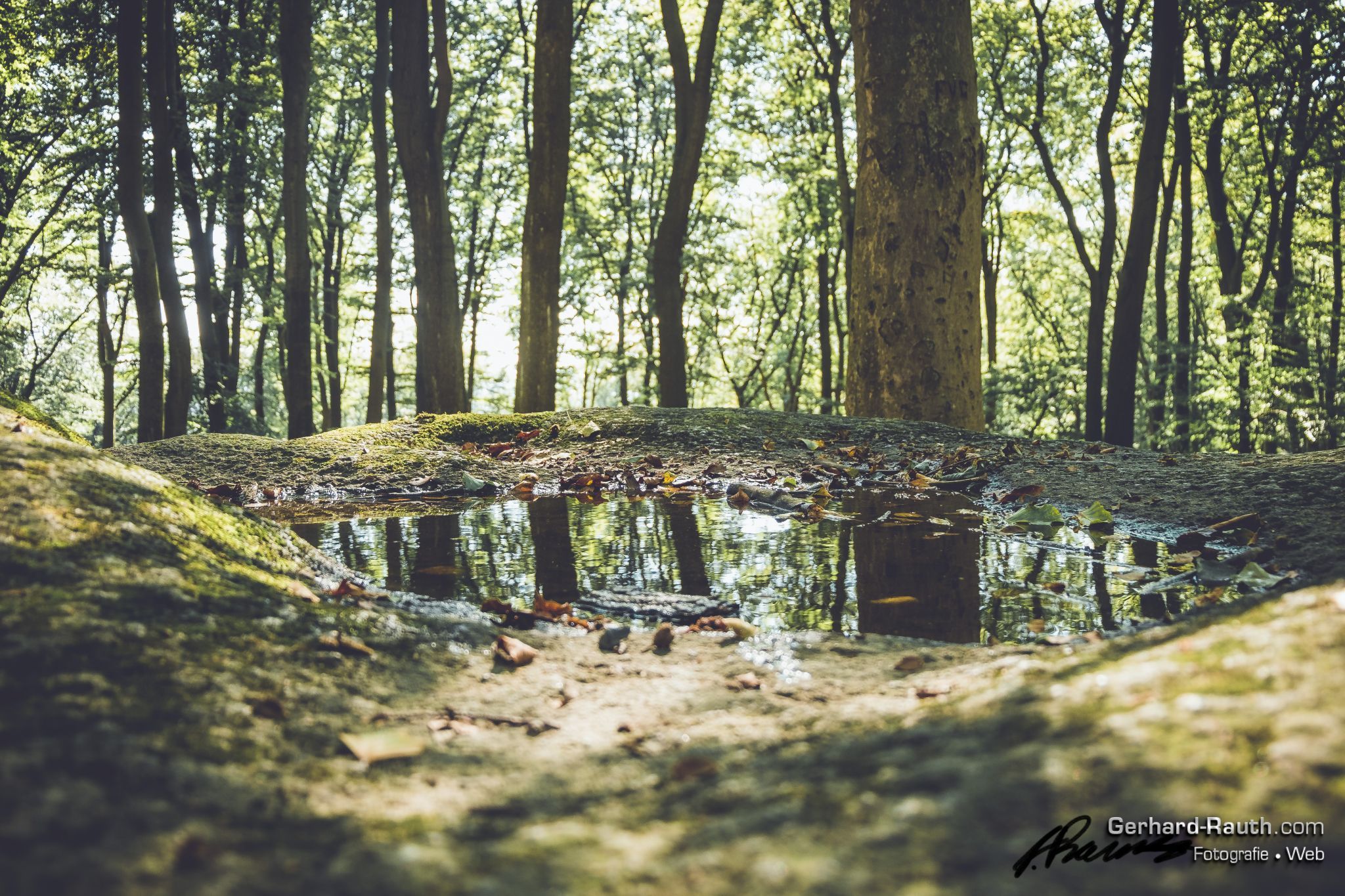 Felsenmeer, Germany