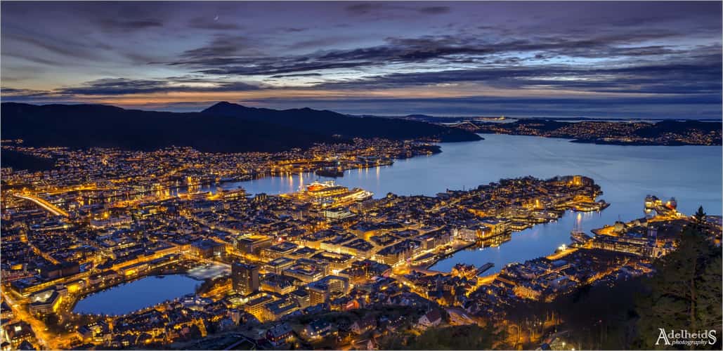 Fløien