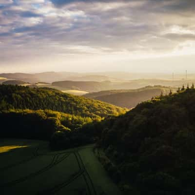 Gänsehals, Bell, Germany