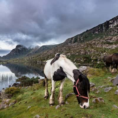 Gap of Dunloe, Ireland