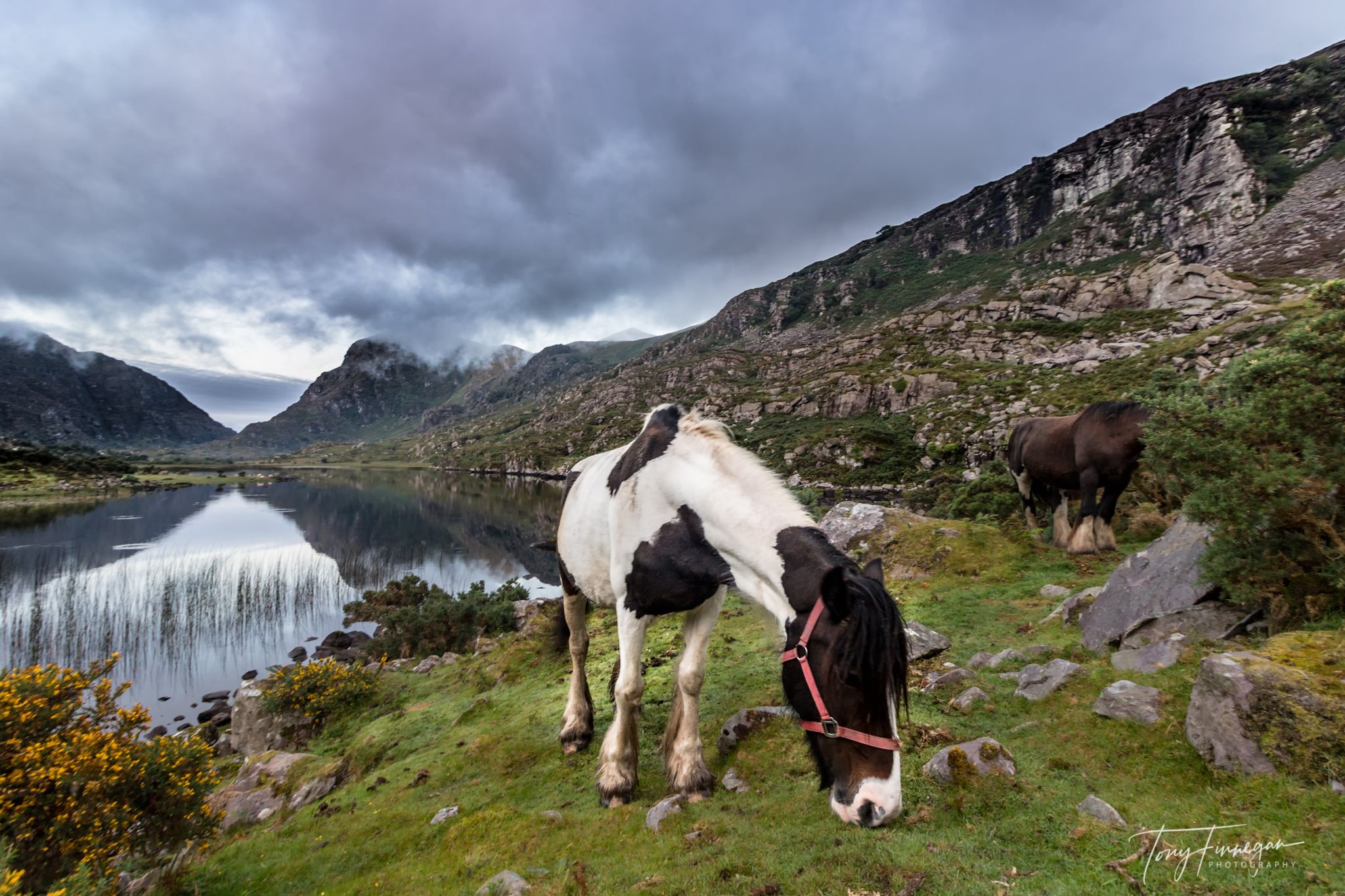 Gap of Dunloe, Ireland