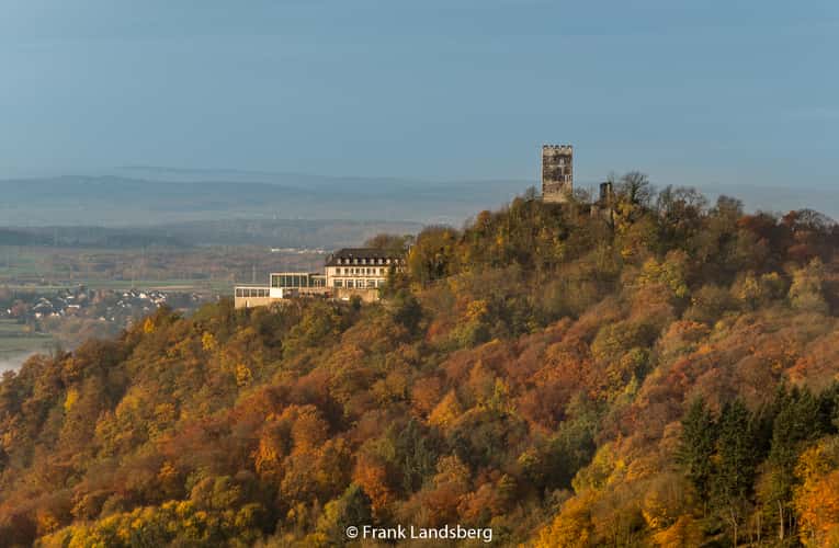 Geisberg in the Siebengebirge