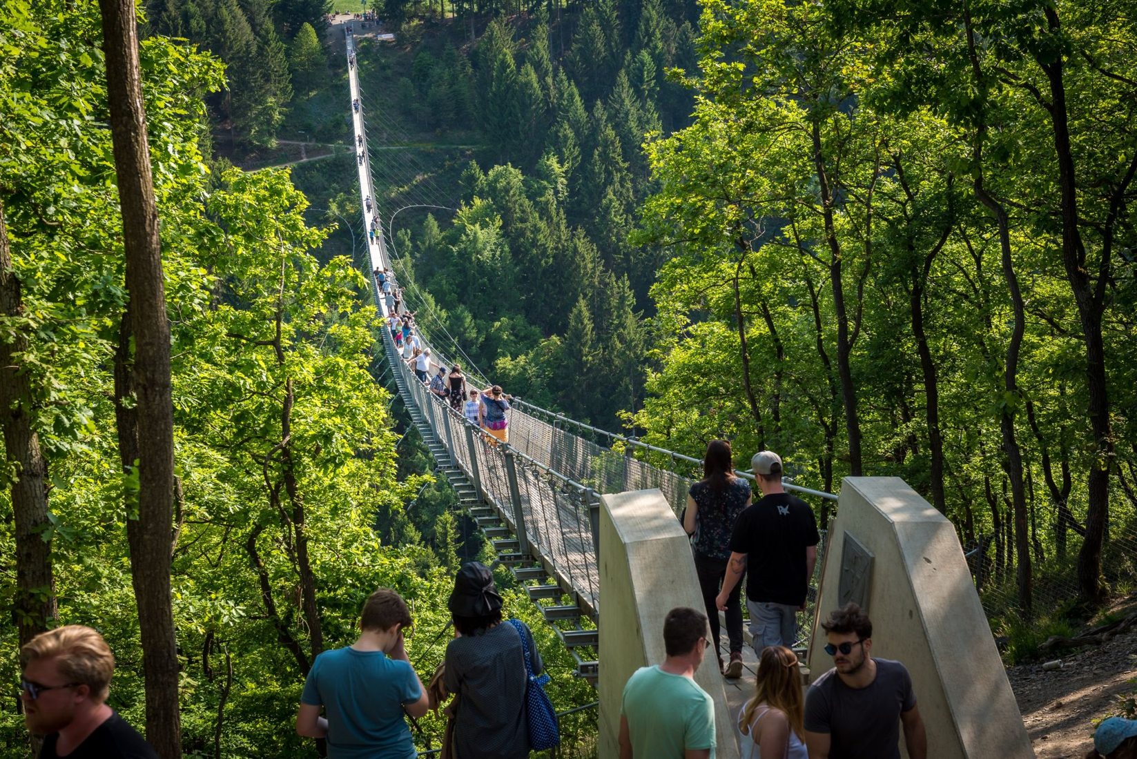 Germanys longest rope bridge Geierlay, Germany