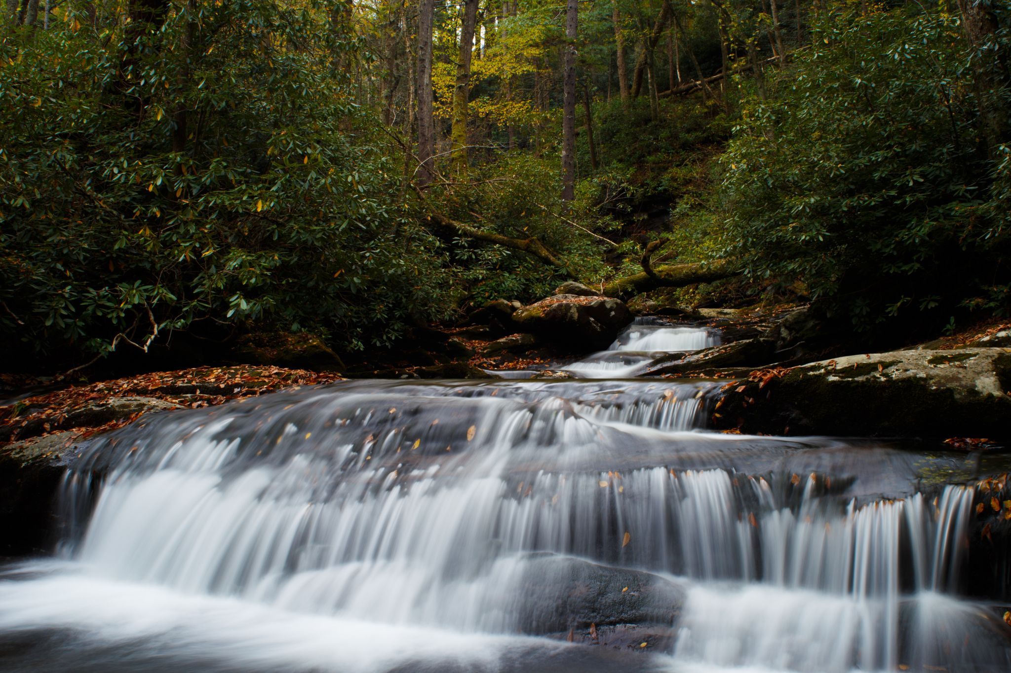 Great Smoky Mountains National Park, USA