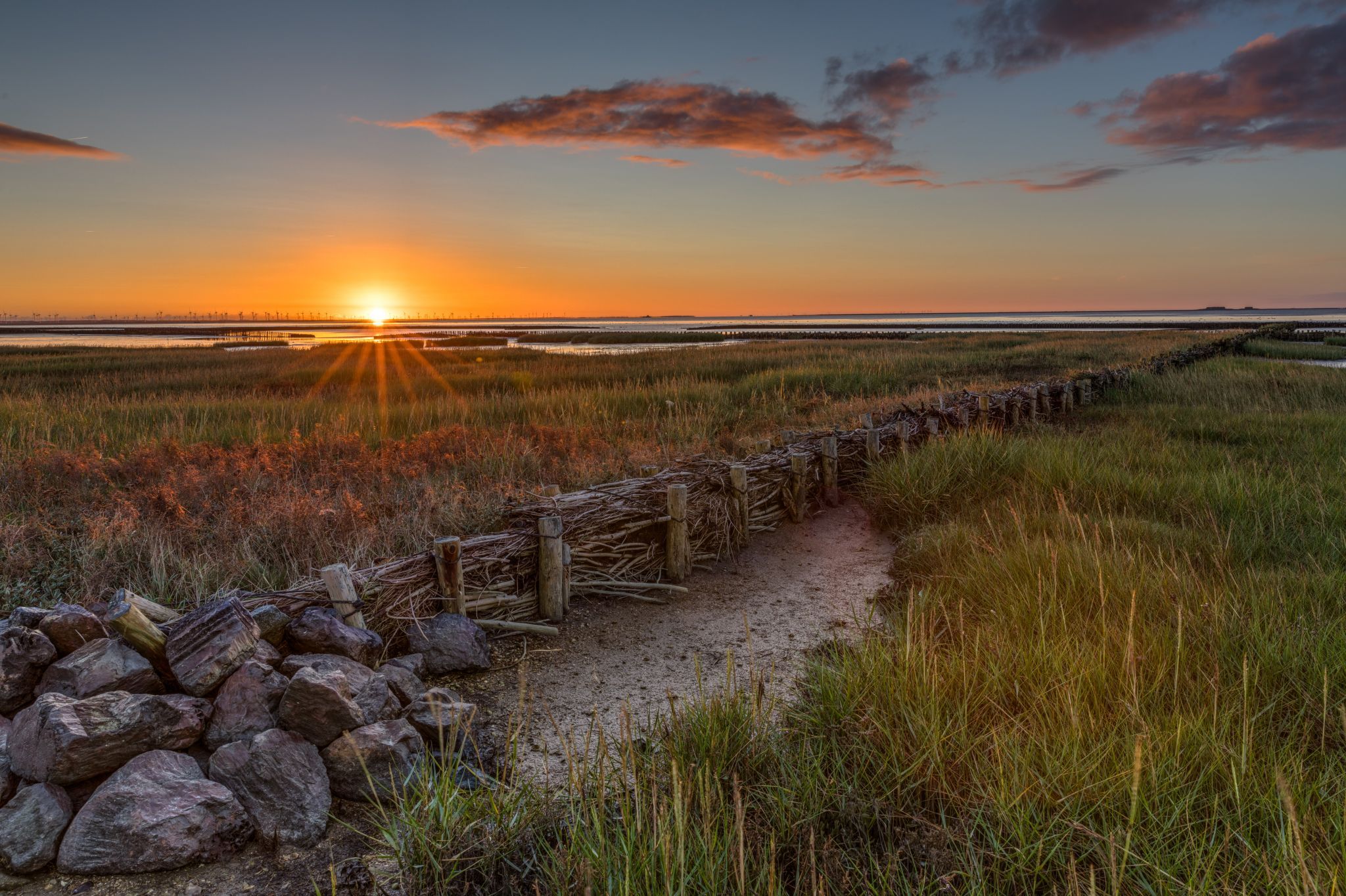Hallig Oland, Schleswig-Holstein, Germany