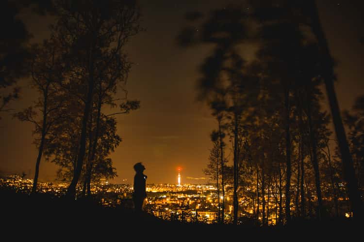 Hidden gem of Trondheim
