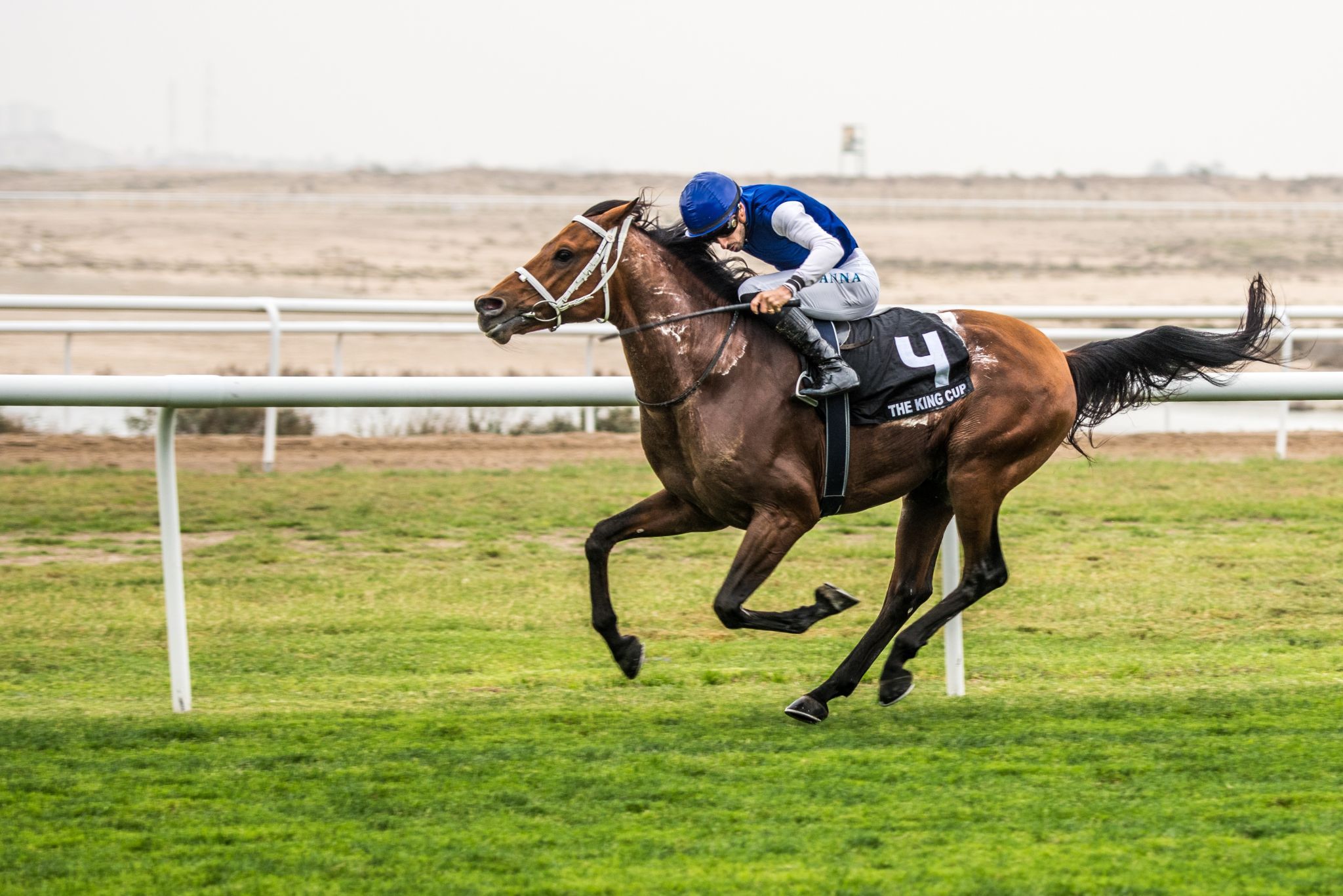 Horse Racing Complex, Bahrain