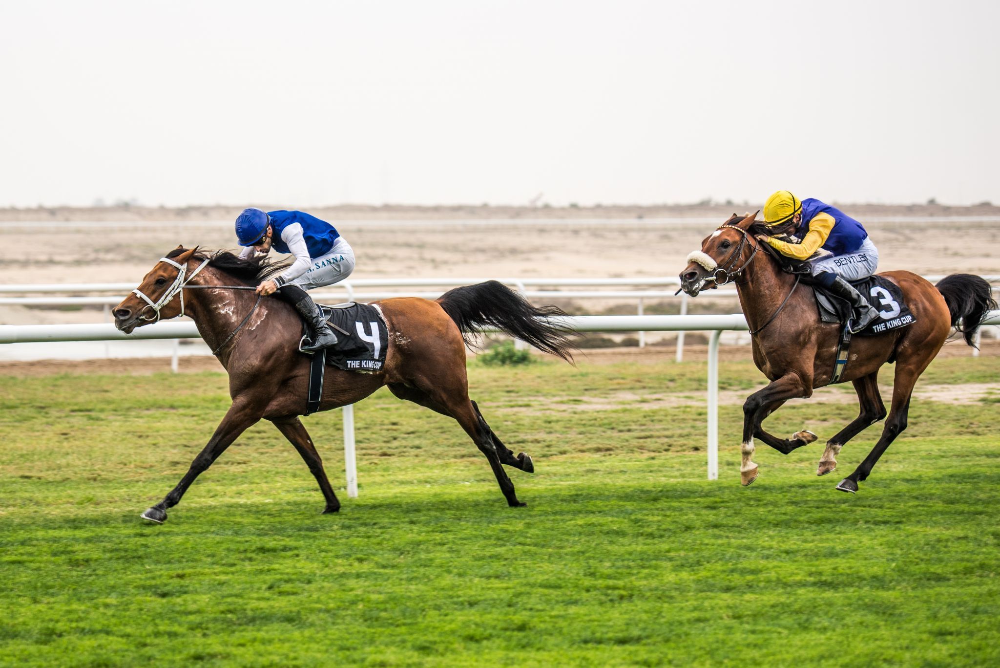 Horse Racing Complex, Bahrain