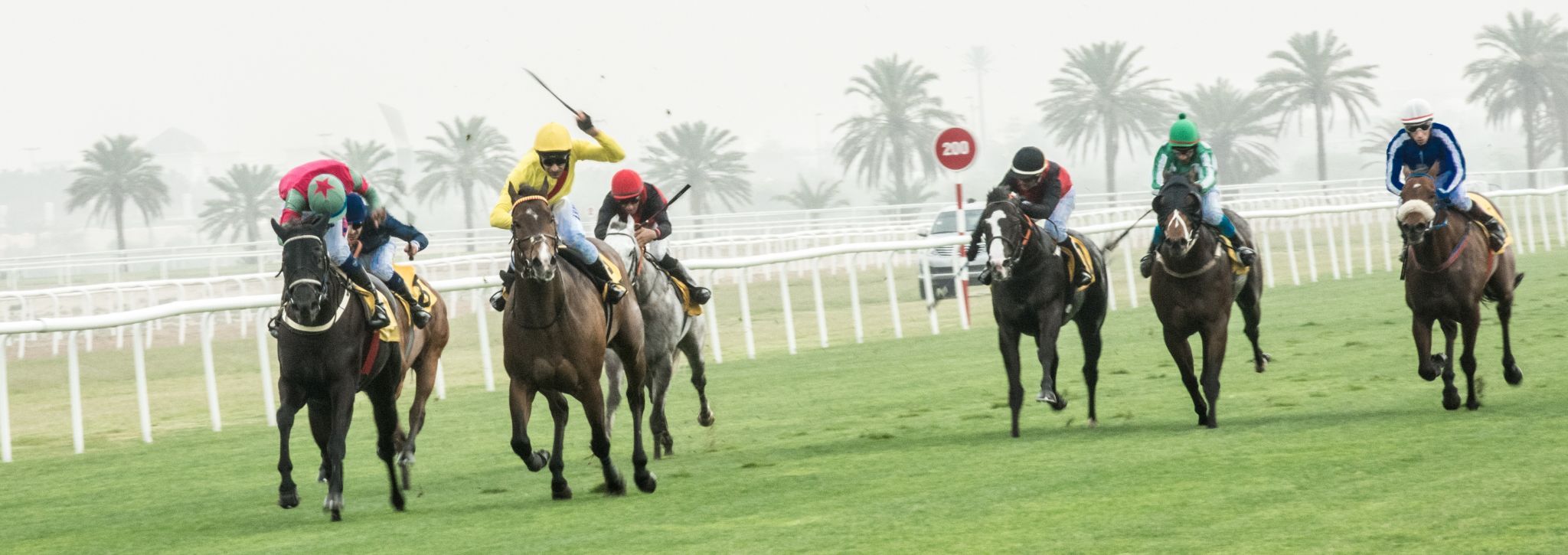Horse Racing Complex, Bahrain