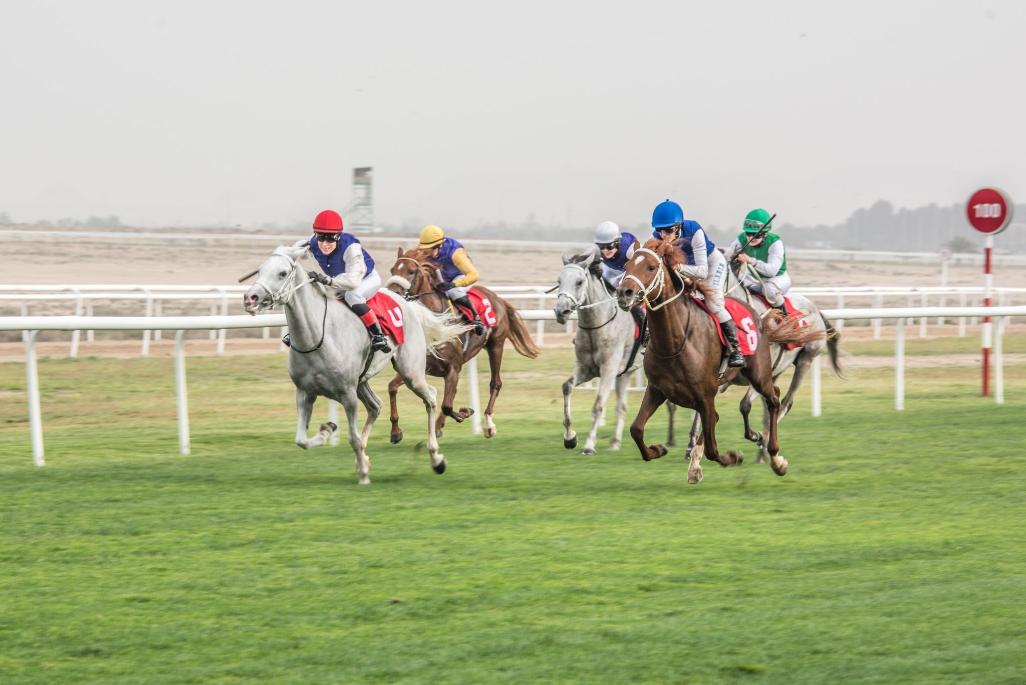 Horse Racing Complex, Bahrain
