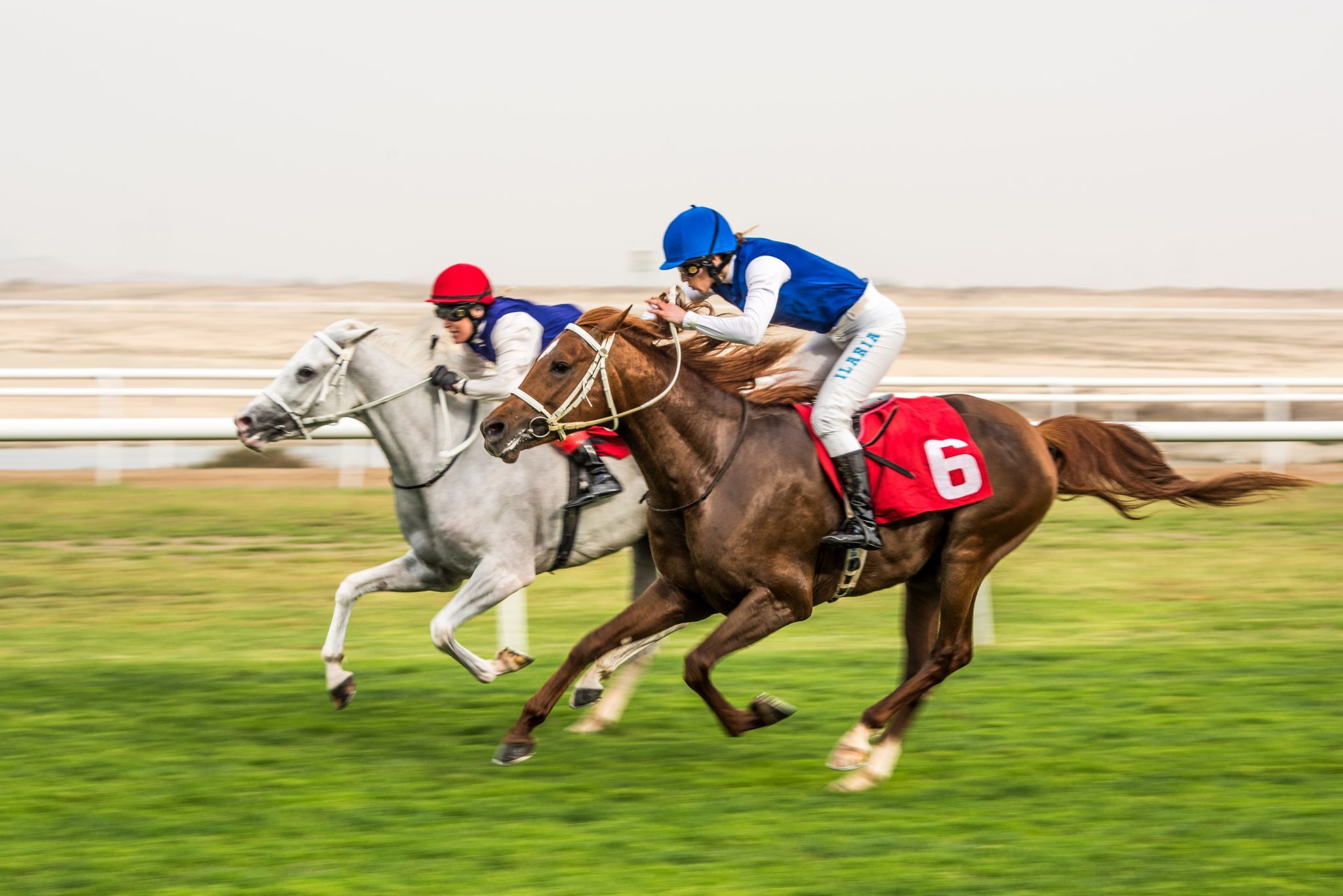 Horse Racing Complex, Bahrain