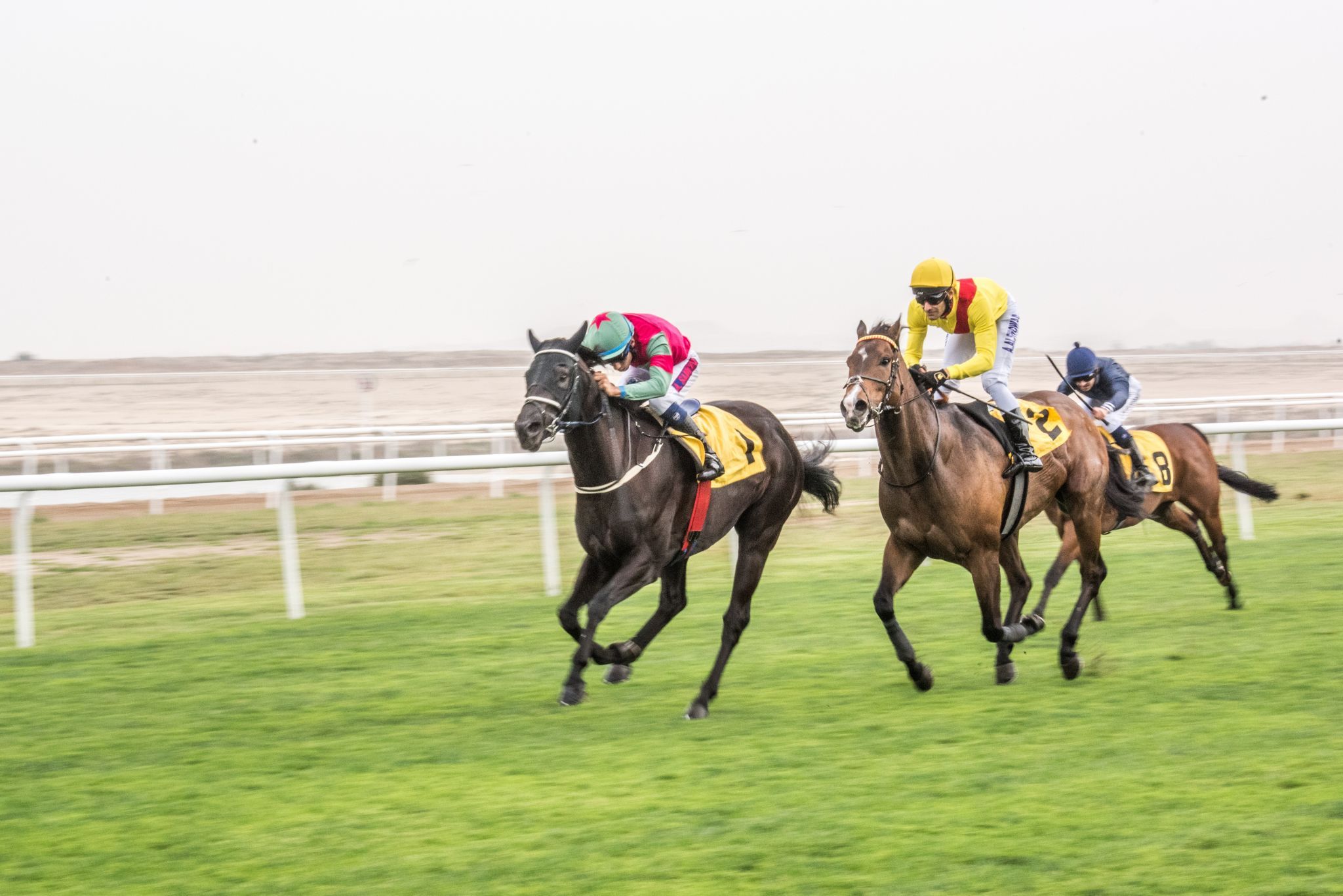 Horse Racing Complex, Bahrain