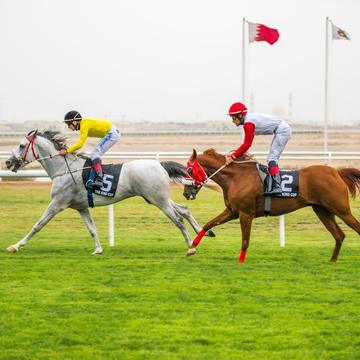 Horse Racing Complex, Bahrain