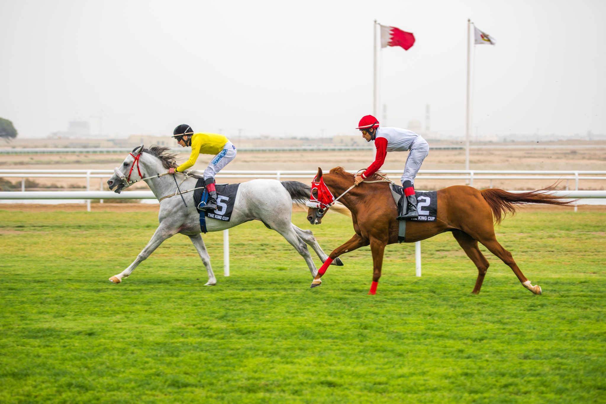 Horse Racing Complex, Bahrain