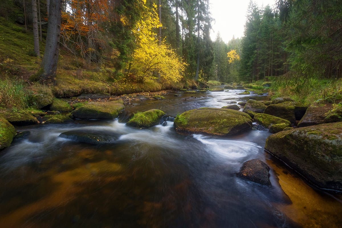 Kamptal bei Roiten, Austria