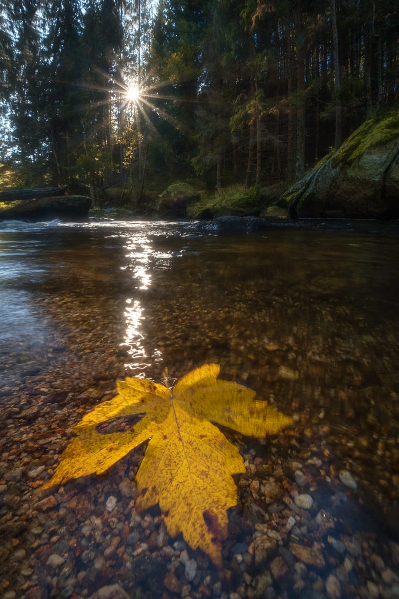 Kamptal bei Roiten, Austria