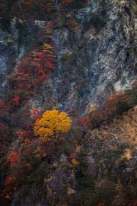 Kegon Fall