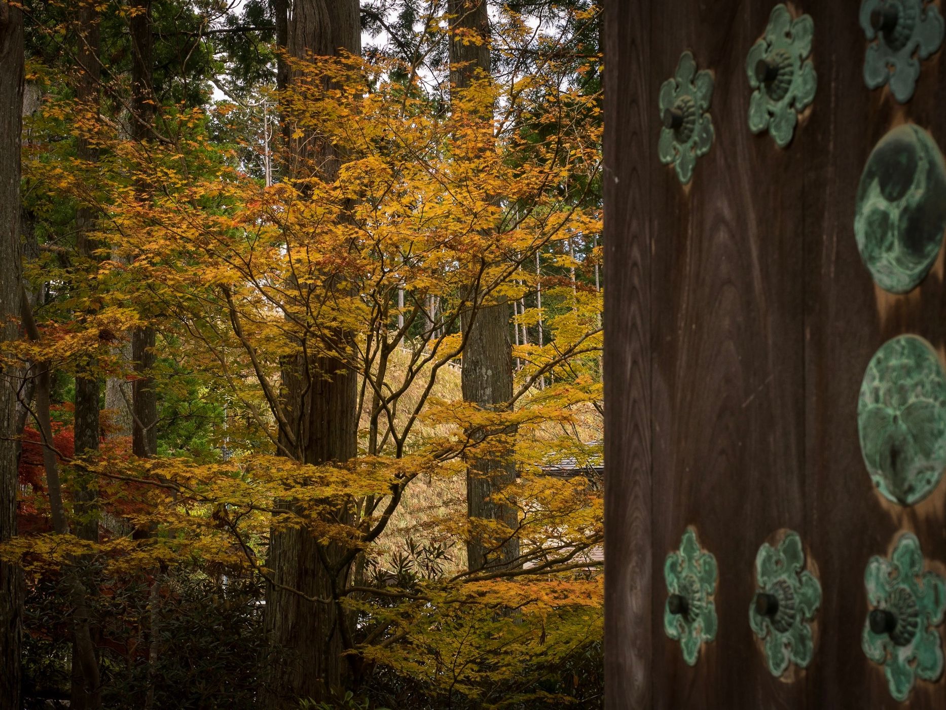 Koyasan, japan, Japan
