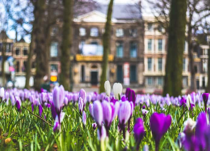 Lange Voorhout