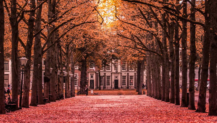 Lange Voorhout