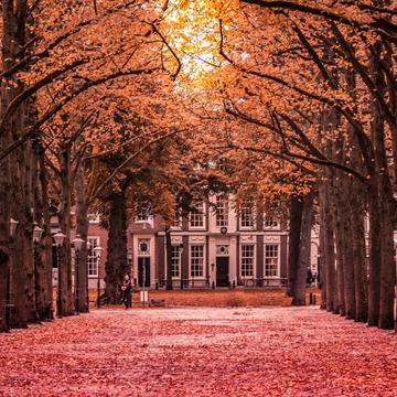Lange Voorhout, Netherlands