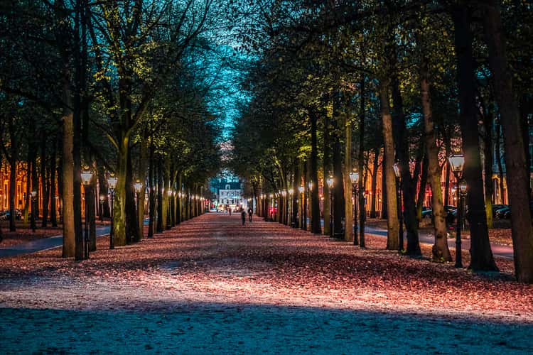 Lange Voorhout