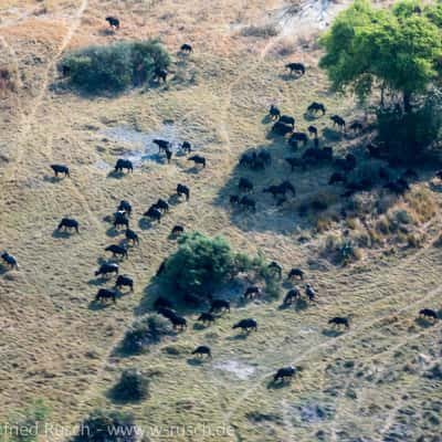 Mit dem Flugzeug über das Okavango Delta, Botswana