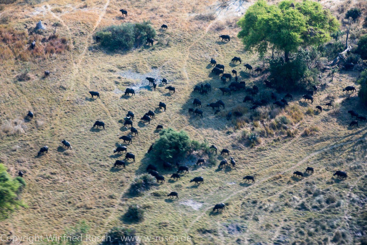 Mit dem Flugzeug über das Okavango Delta, Botswana
