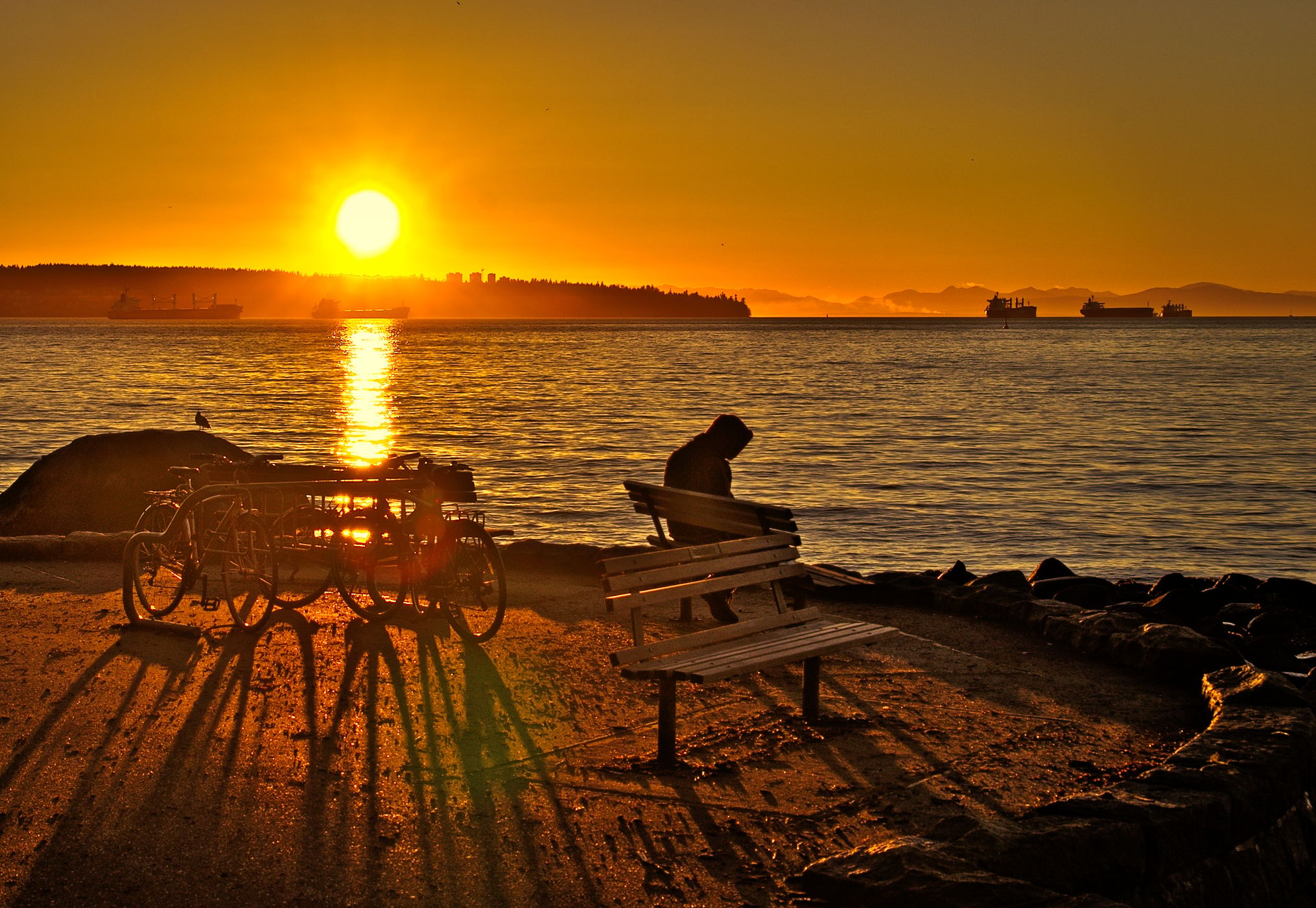 Stanley Park, Canada