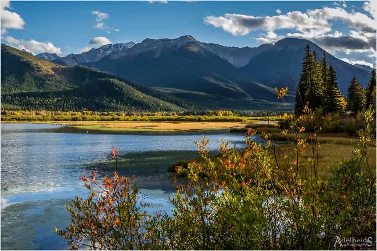 Mount Rundle from Vermillion Lakes