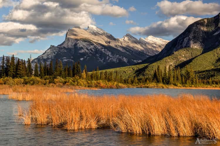 Mount Rundle from Vermillion Lakes