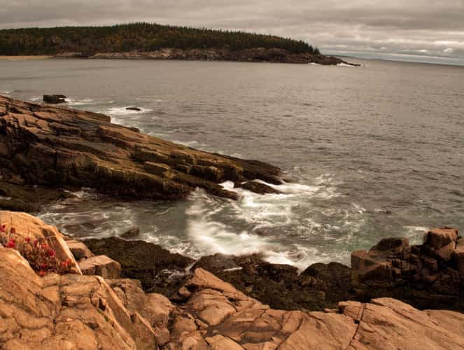 Newport Cove, Maine