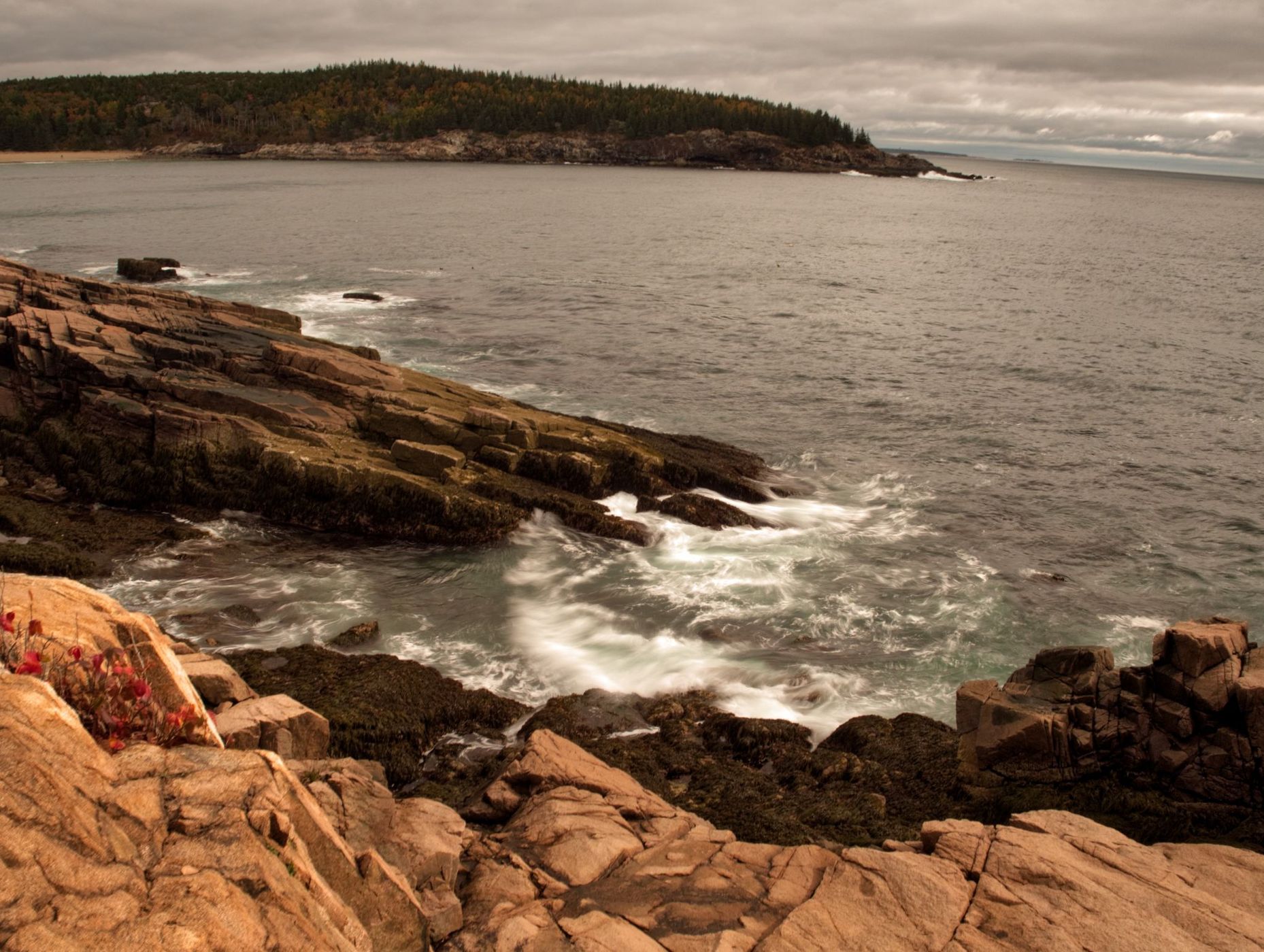 Newport Cove, Maine, USA