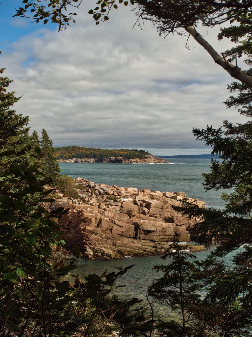 Newport Cove, Maine, USA
