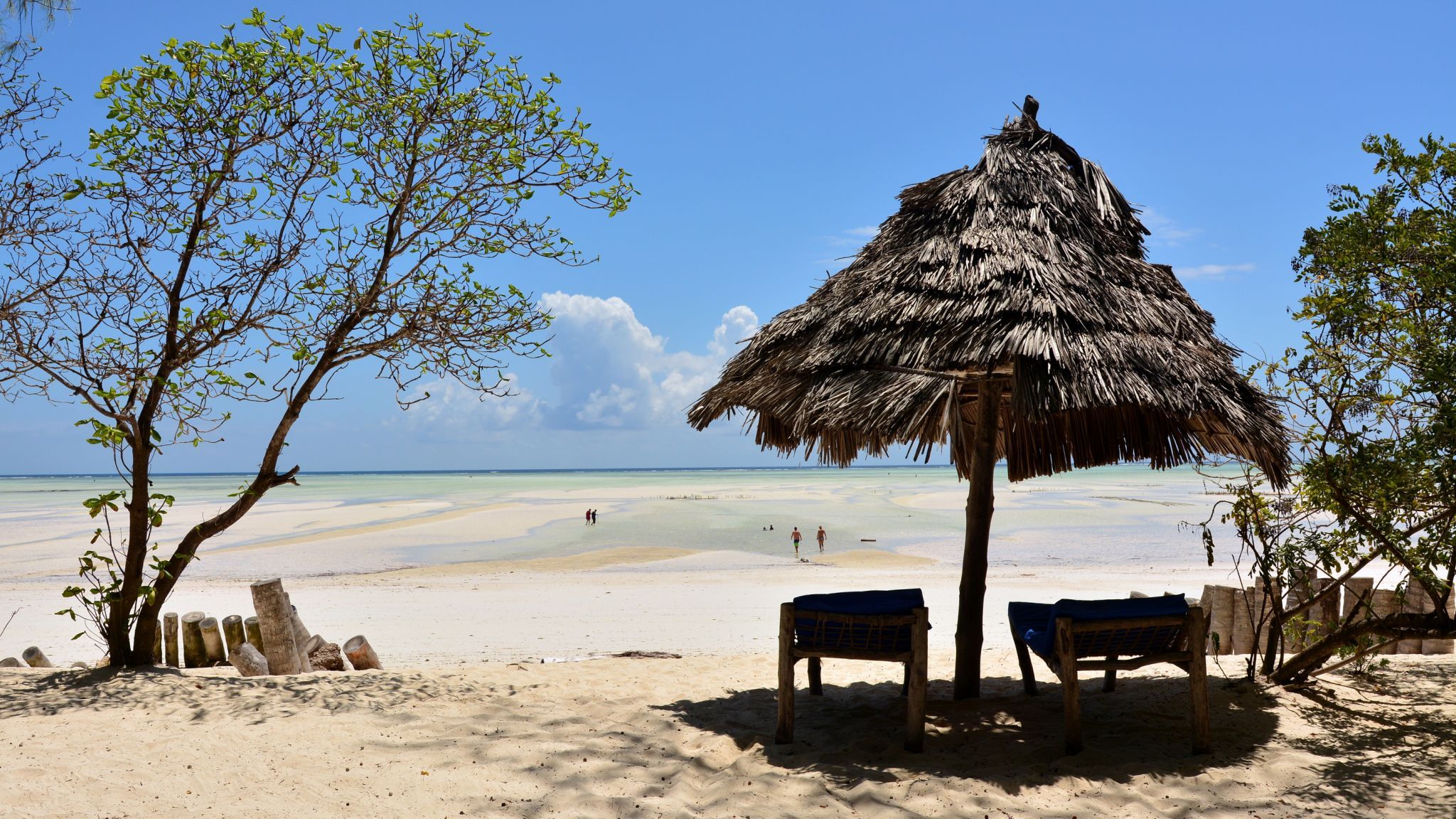 Paje Beach Zanzibar, Tanzania
